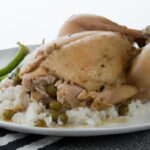 Effortless Flavor: Mastering Instant Pot Pulled Chicken